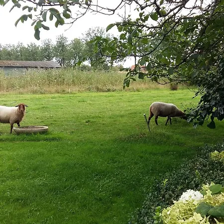 De Bloemenkamp *